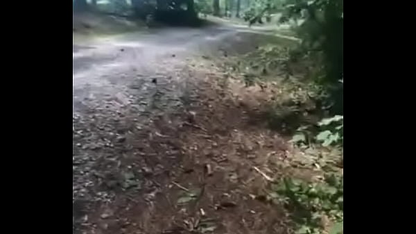 Download Video - Nature show