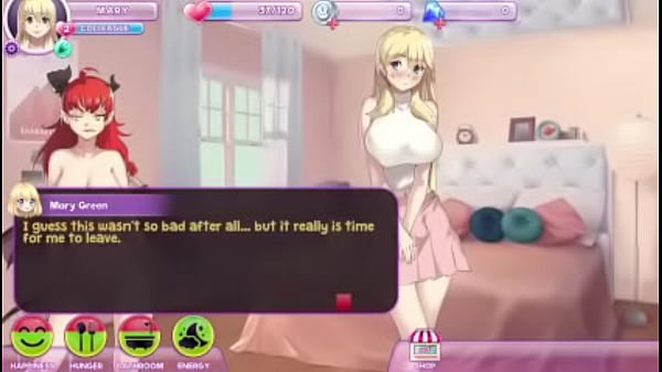ポケットワイフのゲームプレイ
