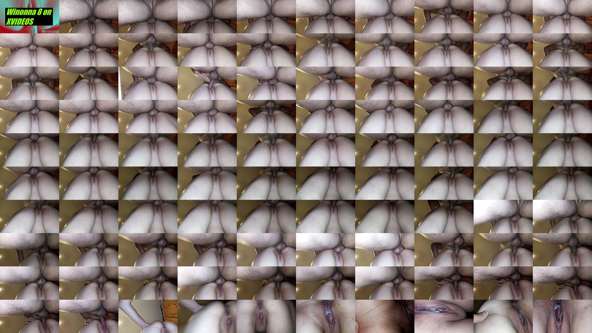 Big Ass Mature Creampied 预览图