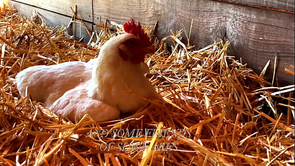 Puta Rica de la paz bolivia se desnuda para m&iacute; y la follo