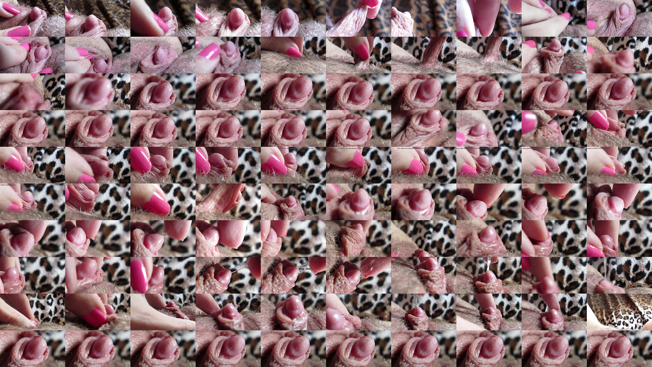 Huge clit orgasm closeup 预览图