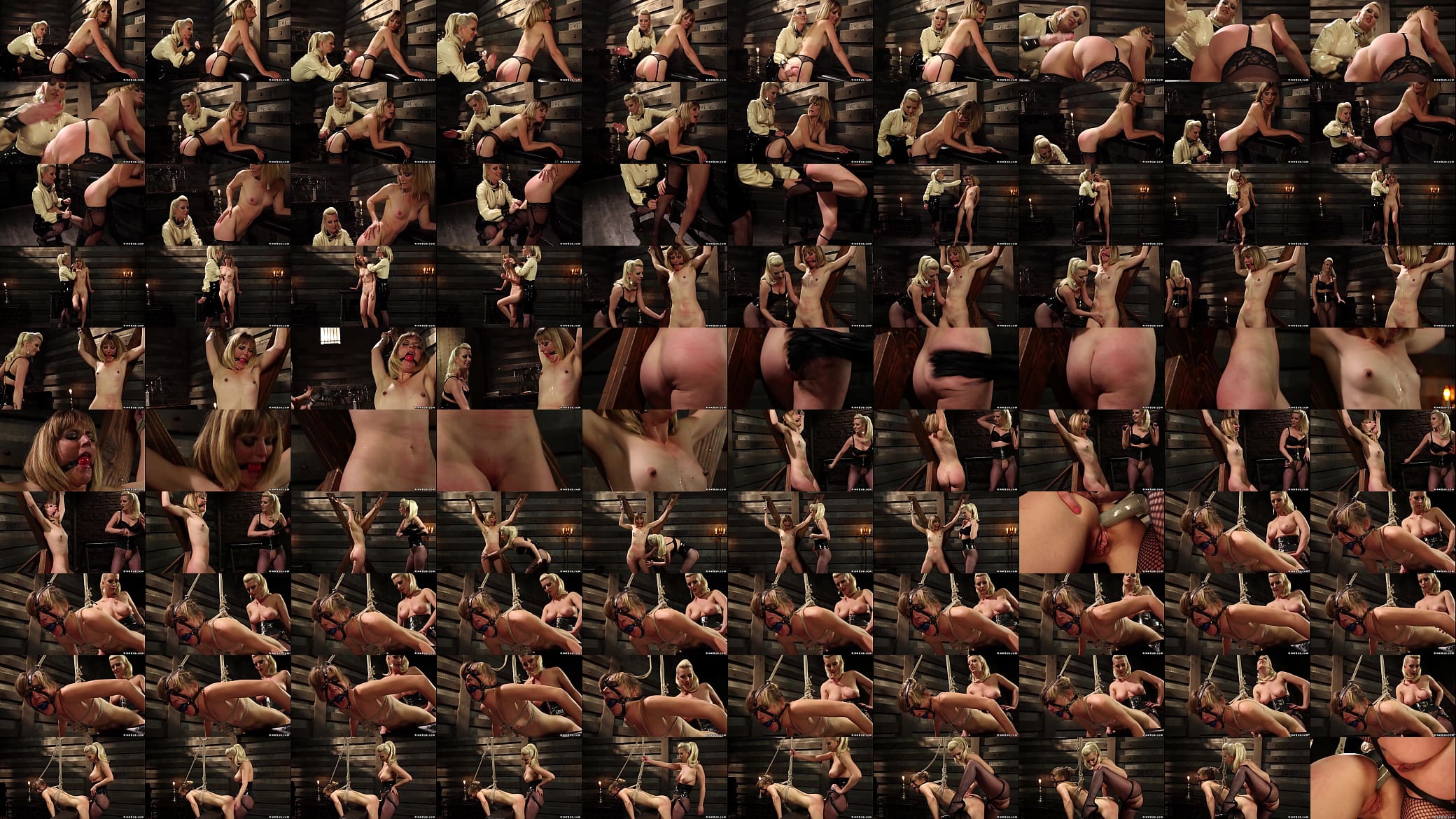 Gagged bound lesbian anal banged 预览图