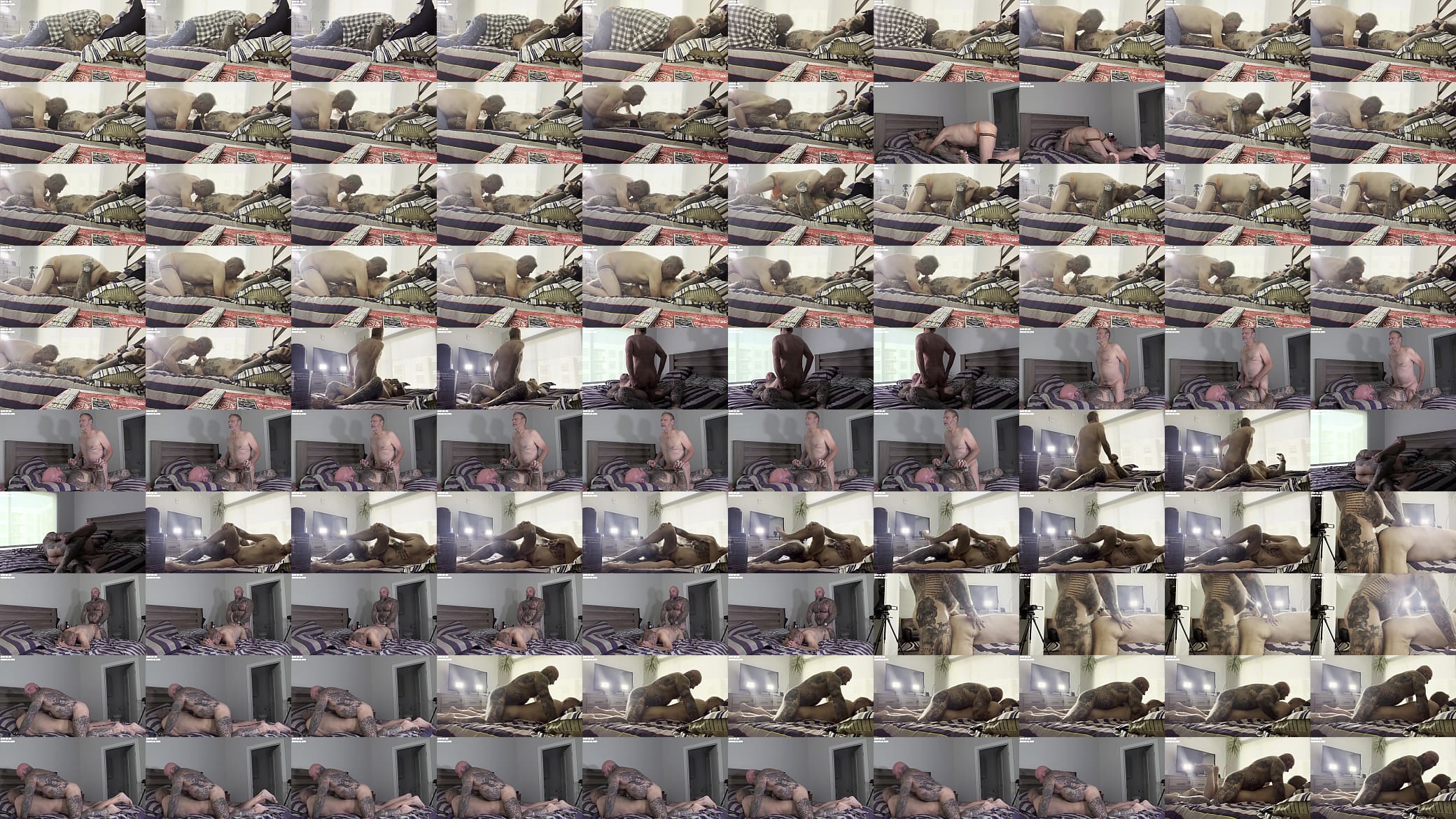 The Senior Citizens Home Bareback! 预览图