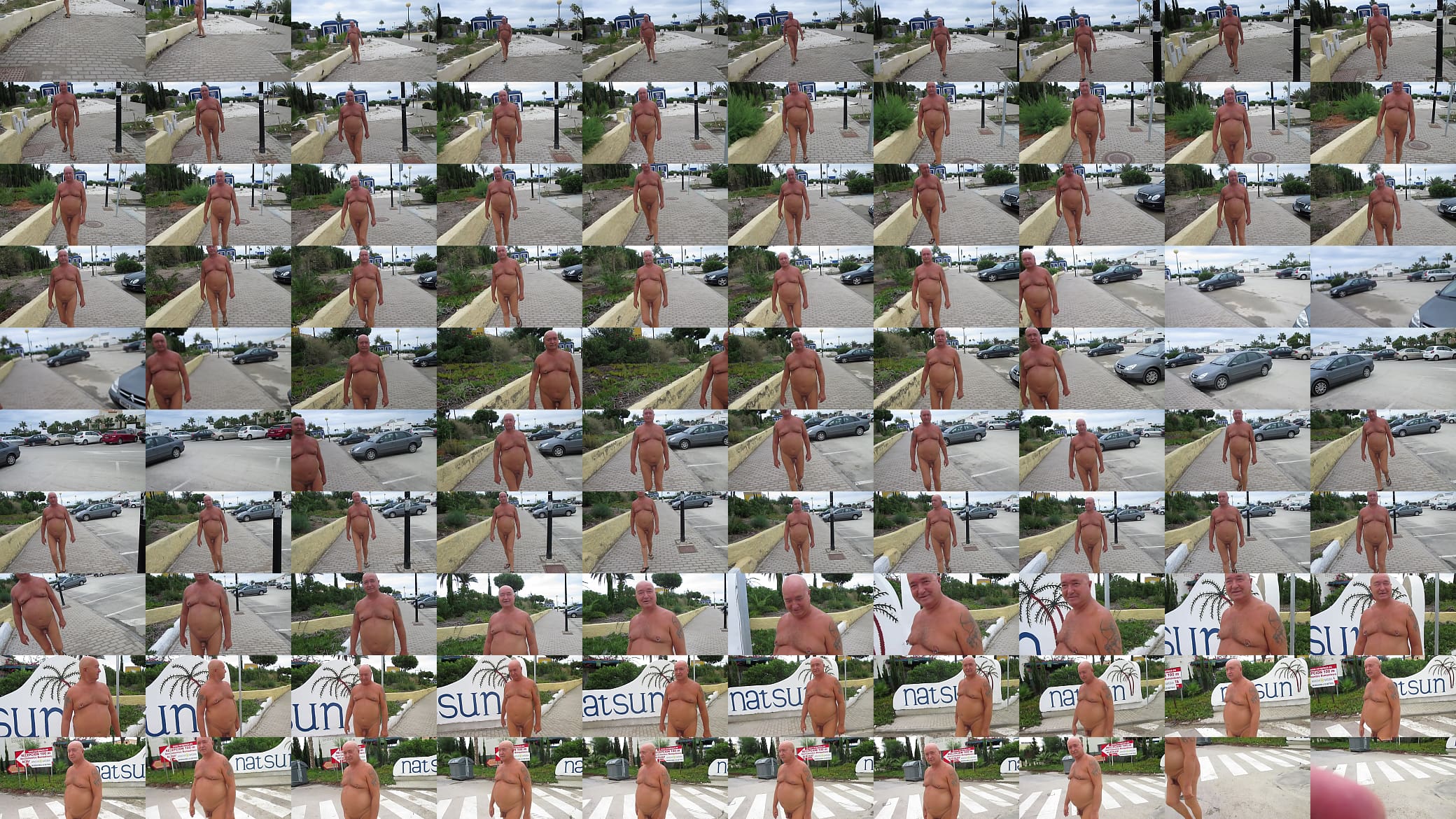 micropenis nikolai skovoroda in spain 预览图