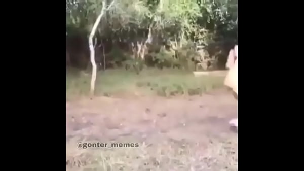 Download Video - Fundo do po&ccedil;o do Discord &num;1