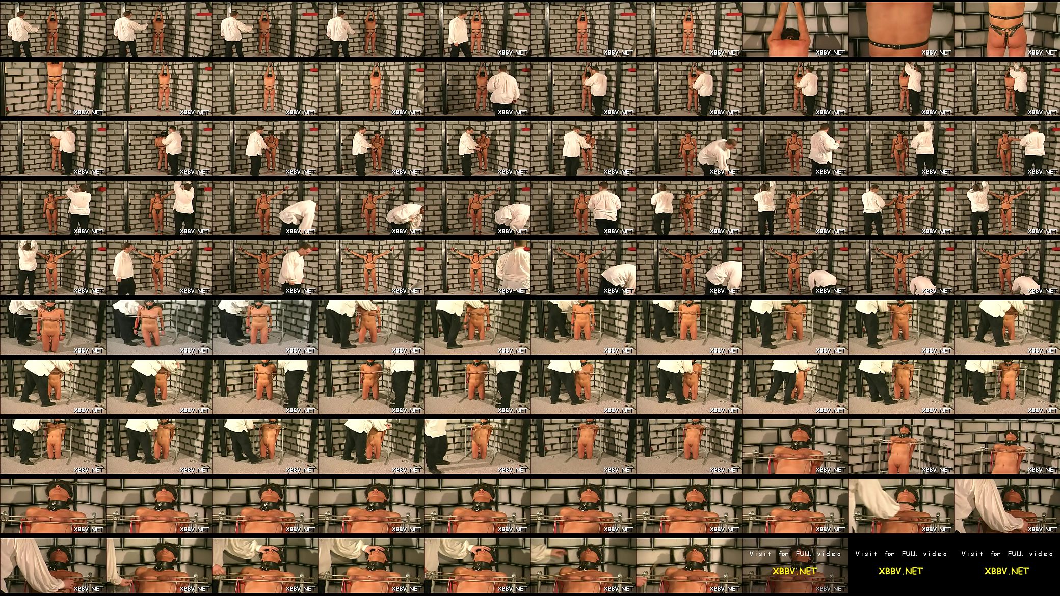 006 预览图