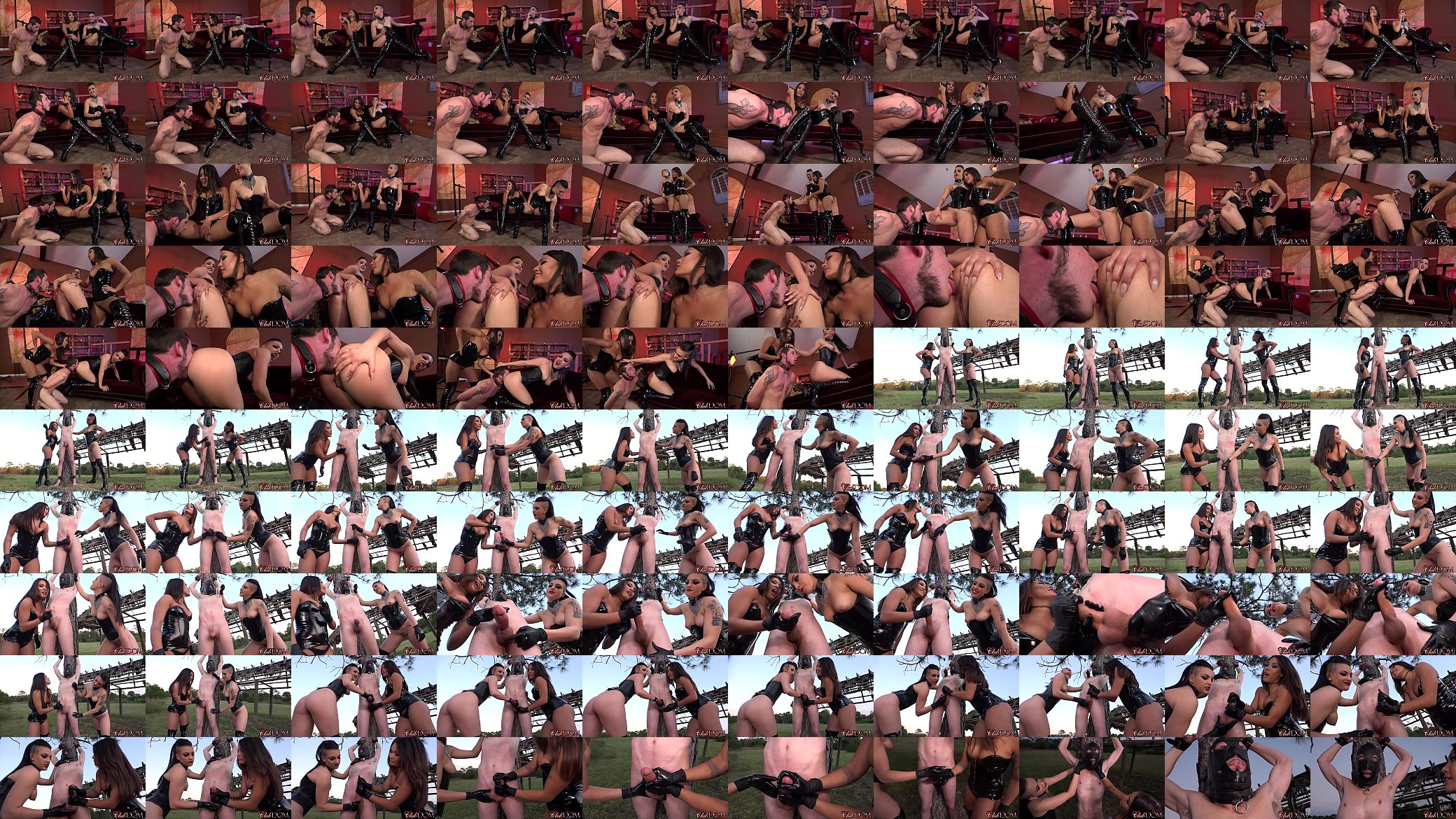 Milked Bitch/Ass worship 预览图