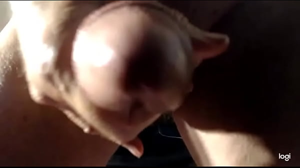 thumb 2021 pvt show 2