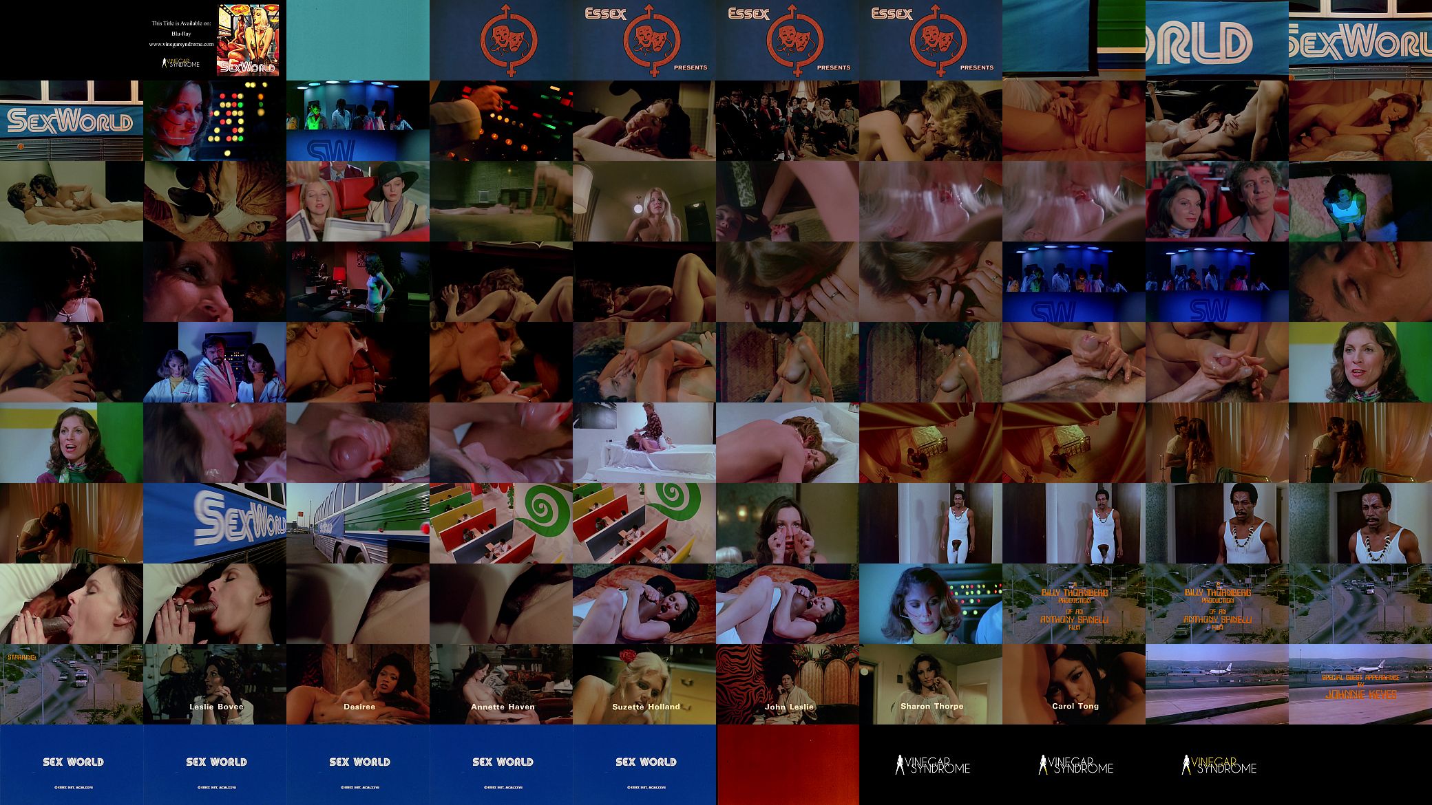 Sex World: 1977 Theatrical Trailer (Vinegar Syndrome) 预览图
