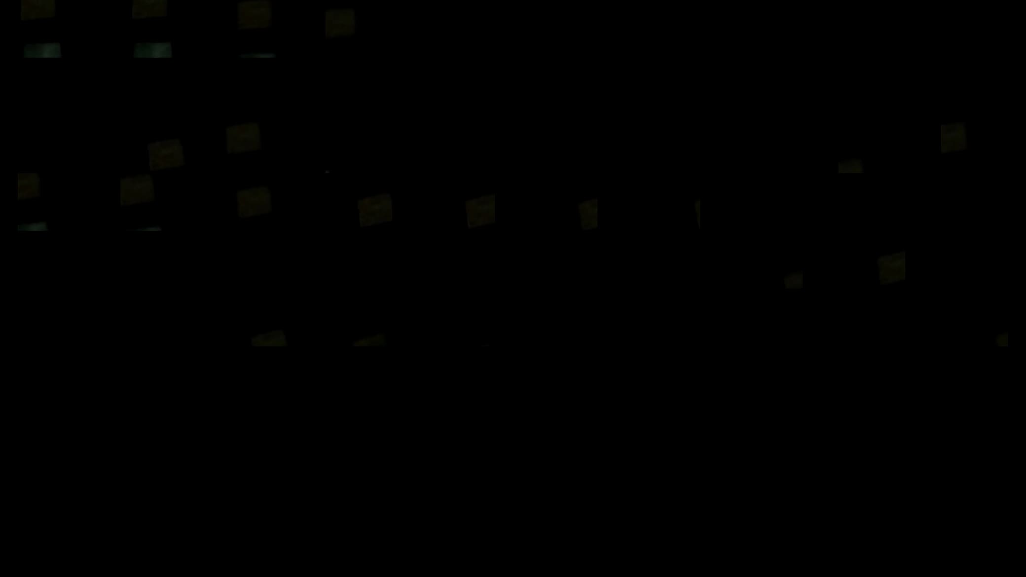 Verification video 预览图