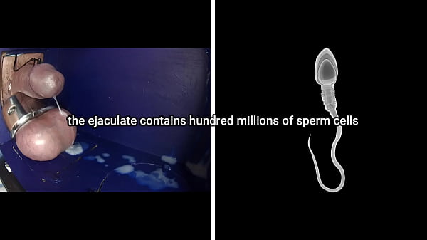 Download Video - Ejaculation - how it works