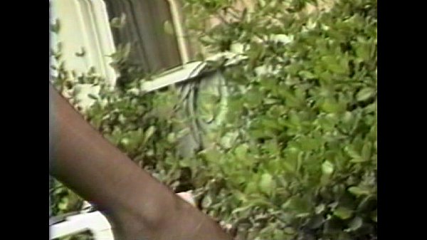 Download Video - LBO - Anal Vision Vol02 - Full movie