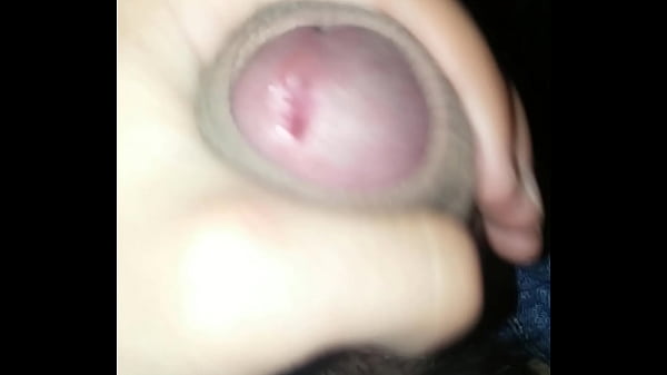 Download Video - quien quiere pico&quest;