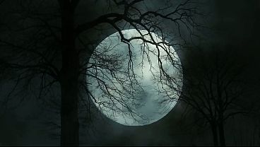 Krjemelik with Ulyana