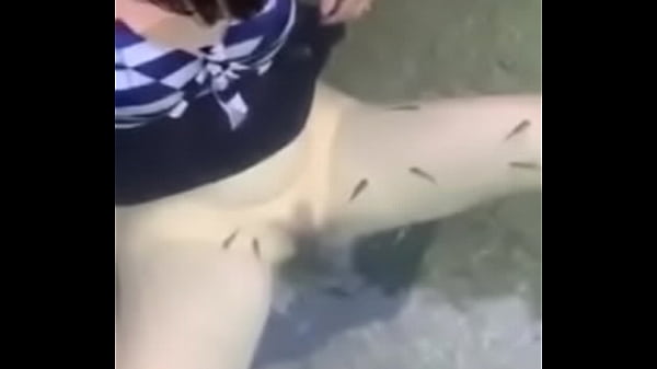 Download Video - VID-20170927-WA0009