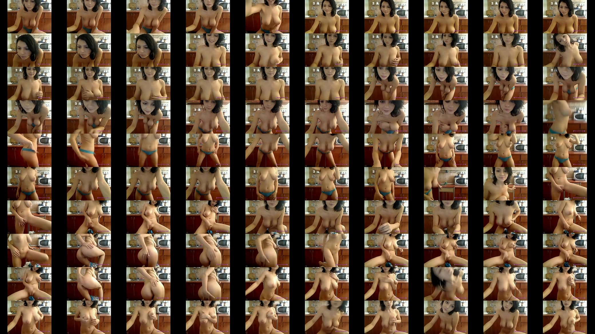 Webcam Chronicles 160 预览图