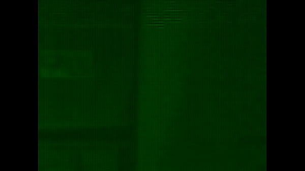 2011-01-30 12-39-31.032