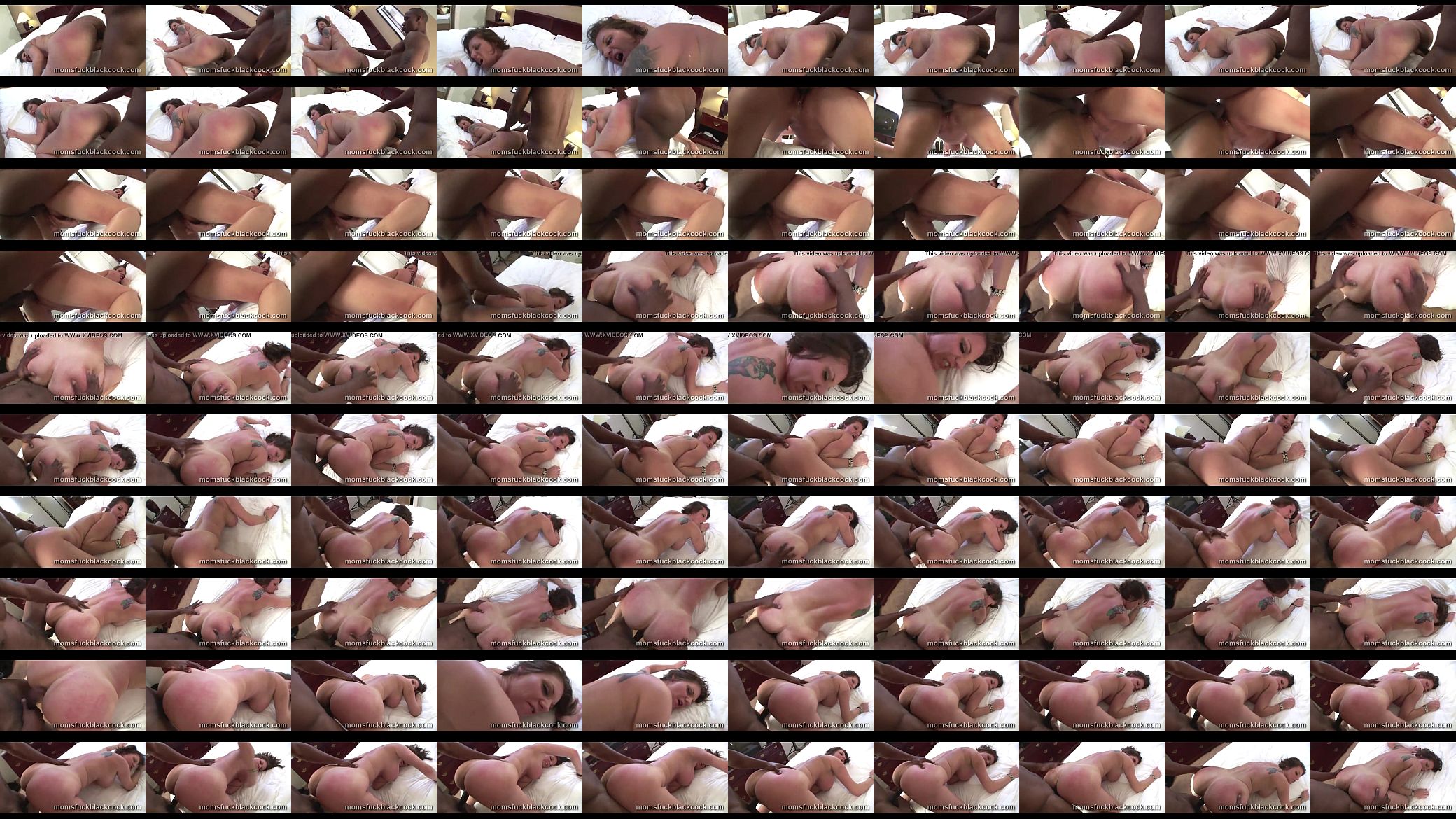 Big cock in white pink pussy 预览图