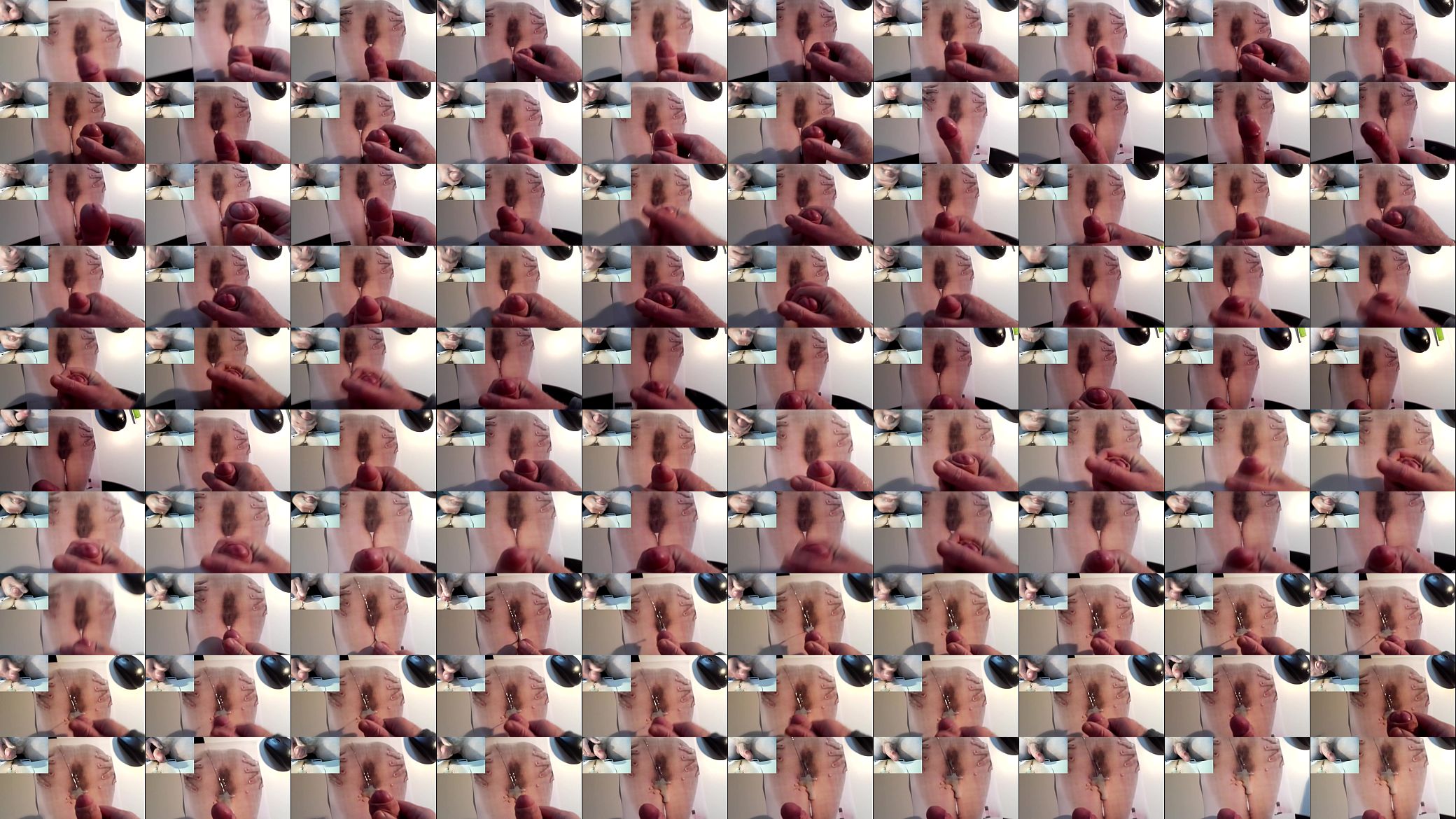 Tribute to Danuudeciudadjardin 预览图