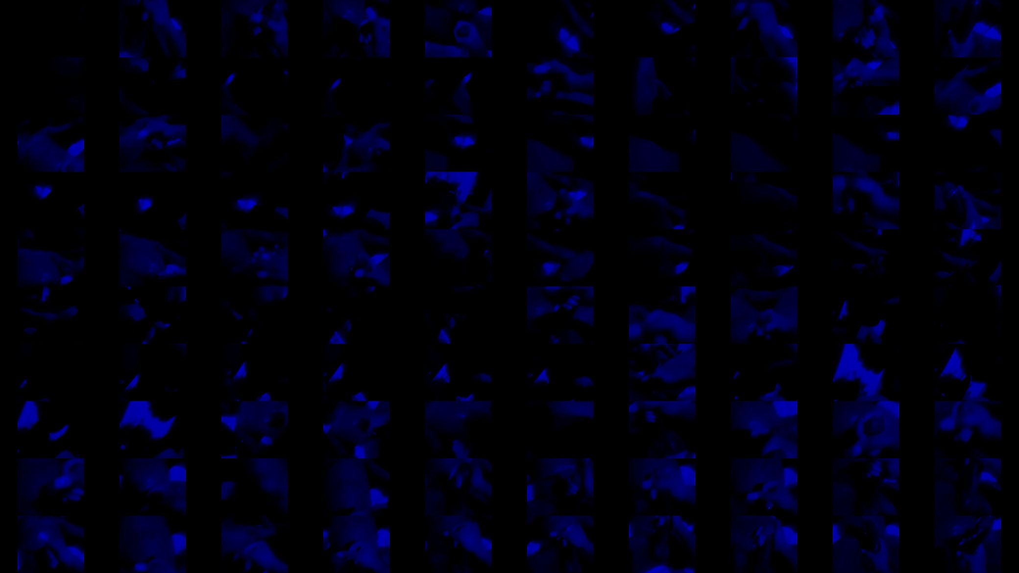 FreakNasty Blue Light COCK SUCKING!!!!!!!!!! 预览图