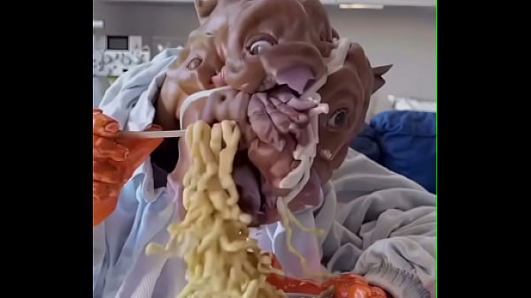 my dog eats ramen