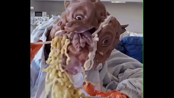 my dog eats ramen