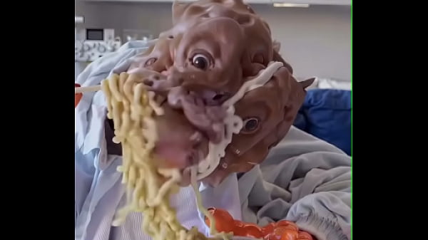 My dog eats ramen