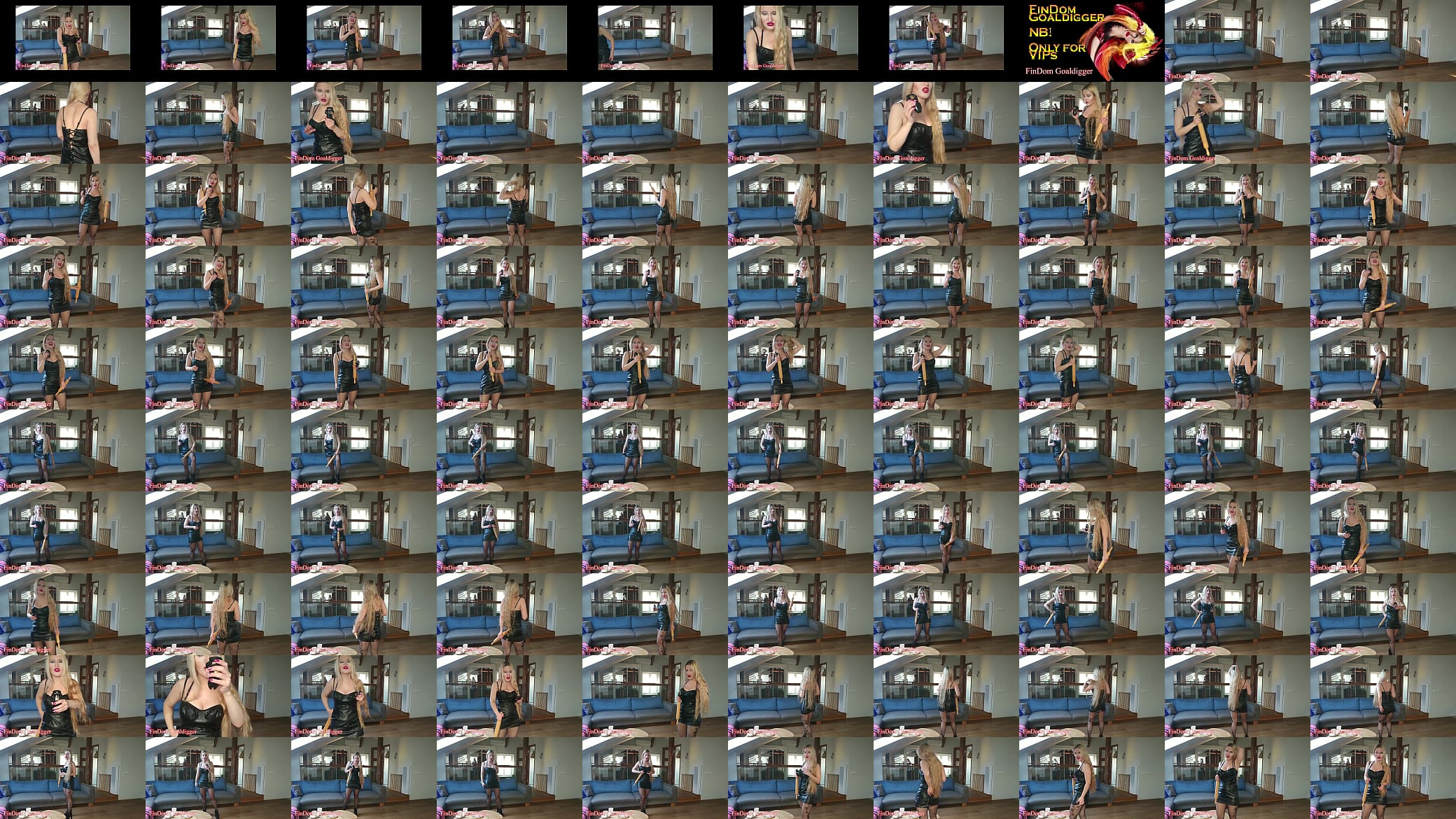 Chastity queen ExecutrixFantasy 预览图