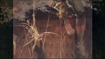 vintage erotic drawings