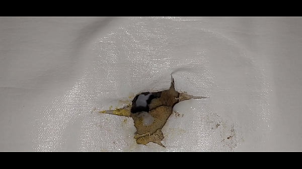 Download Video - I fuck the mattress with a condom&comma; I squirt the cum into her hole and lick the cum off the mattress&period;