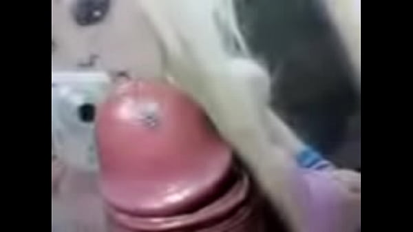 corridas en fotos de emoss 4