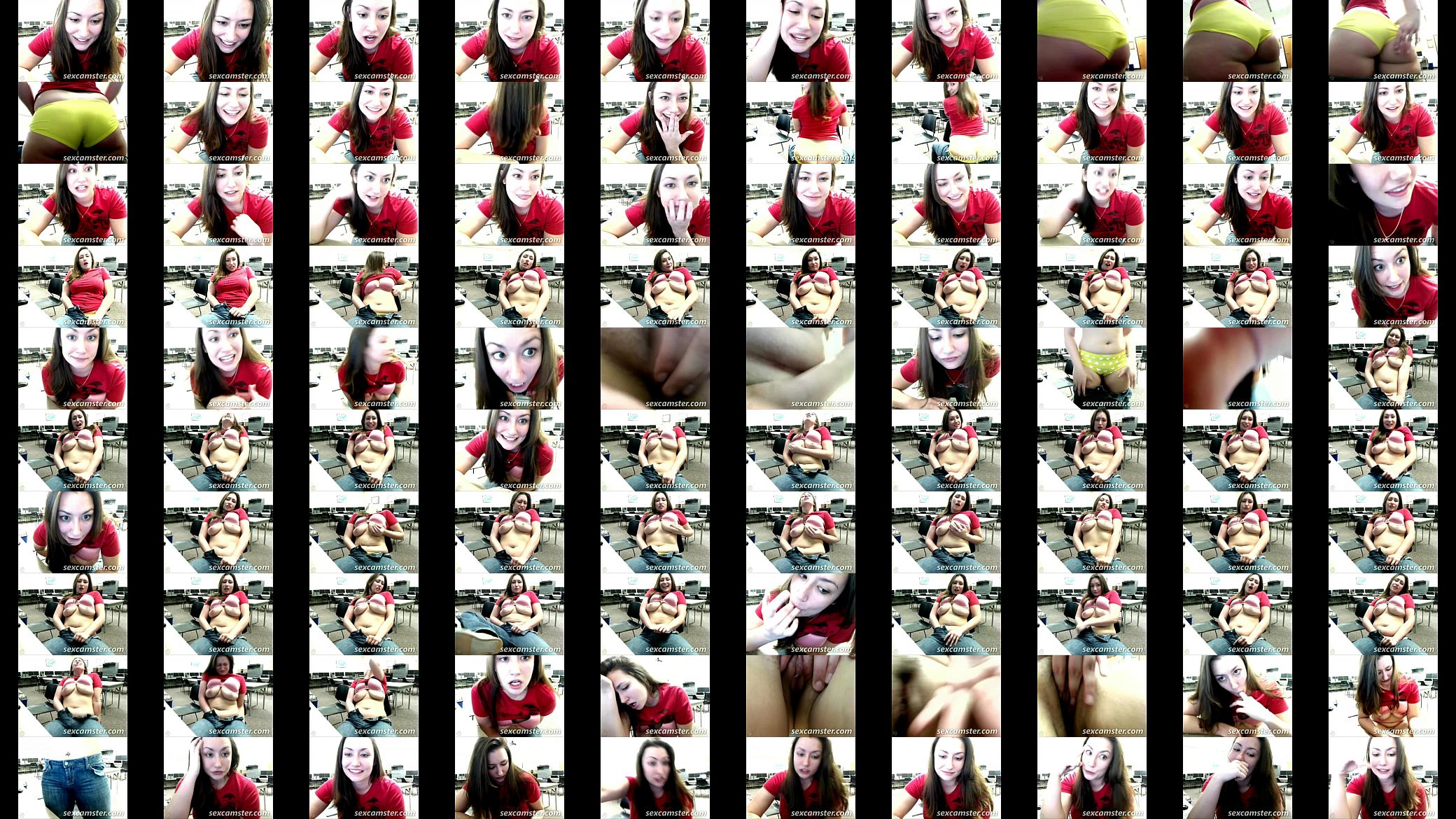 webcam show 预览图