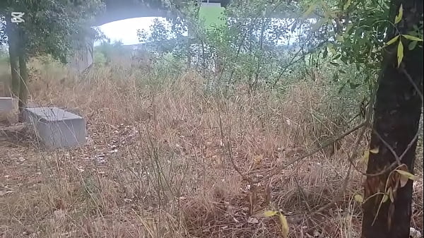 Chica disfrutando chupar la gran verga de jovencito