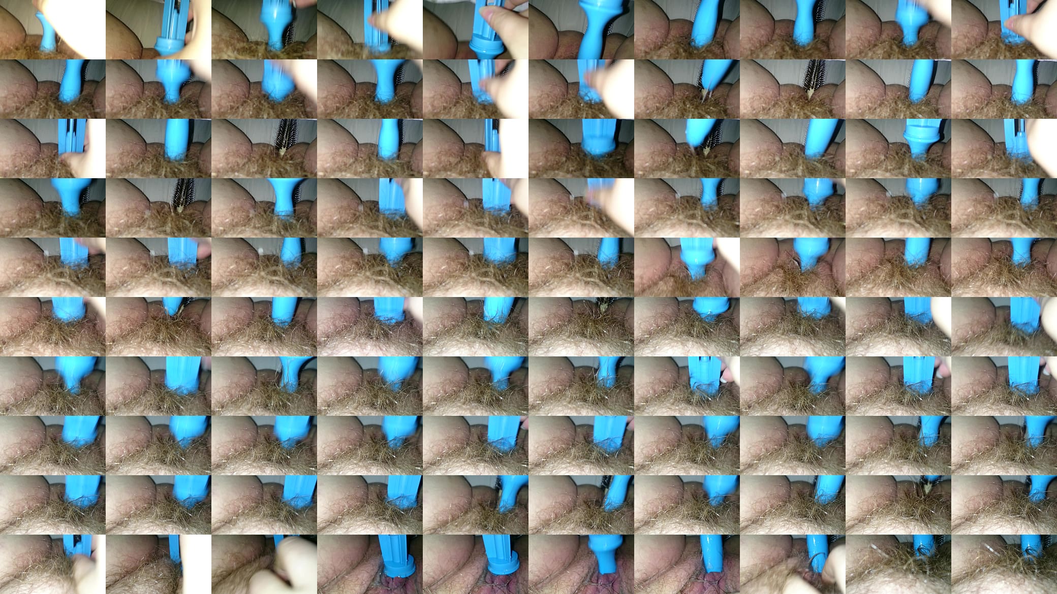 Fucking my wet hairy pussy and ass 预览图