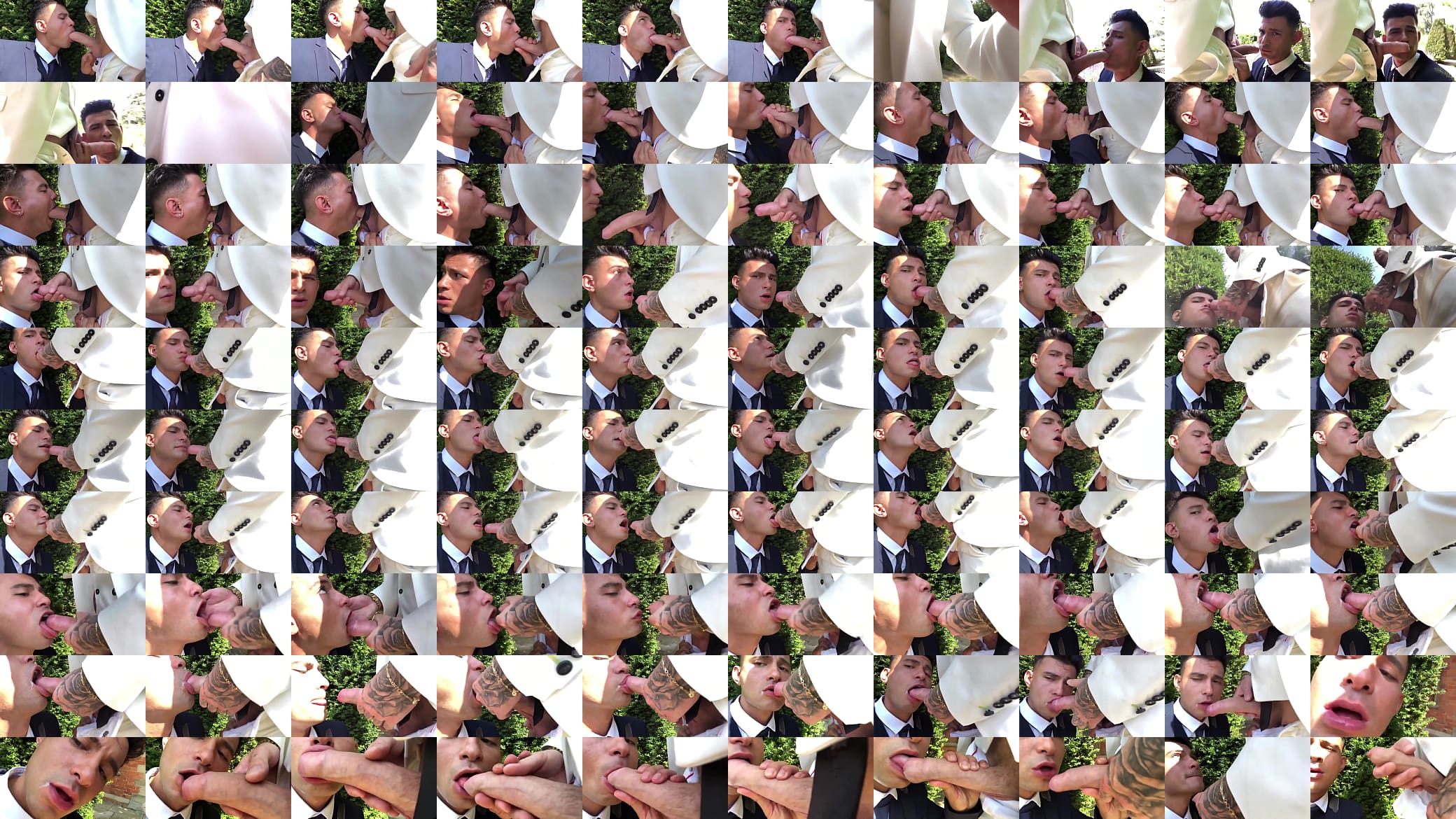 hot suck in wedding 预览图