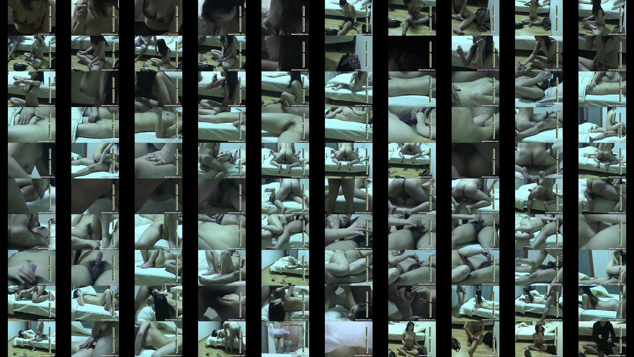 Asian Motel Sex 预览图