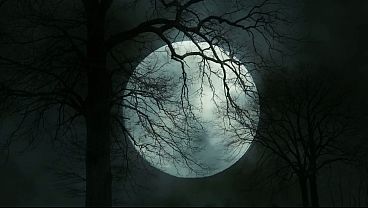 Stacey Saran and Mark Gotham - Horny Stepmom