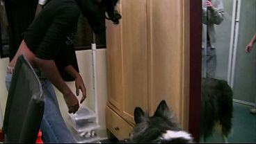 Novinho cabeludo fodendo a namorada com consolo enfiado no cuzinho ate os dois gozarem