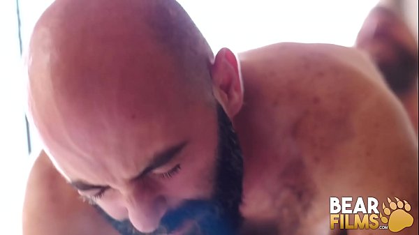 Download Video - BEARFILMS Bald Cub Ale Tedesco Rides Daddys Hairy Cock