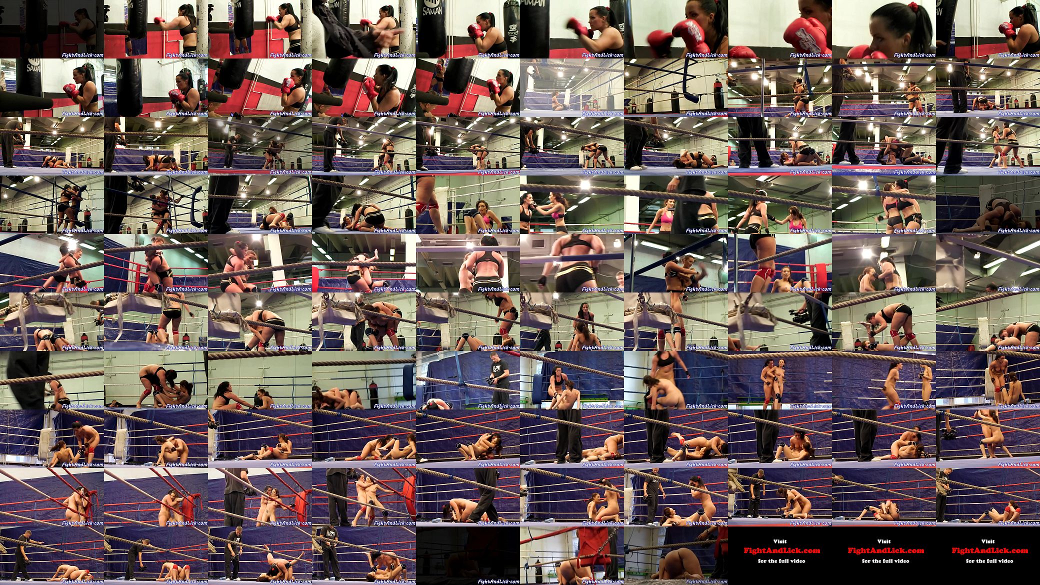 Busty babes wrestling naked in the ring 预览图