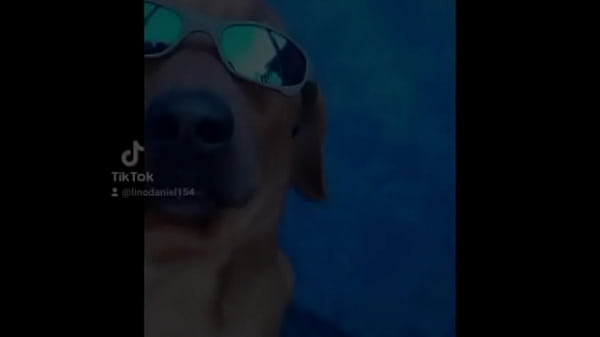 Comendo a safada de quatro até gozar