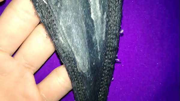 Download Video - Tangas sucias de mi prima de 23 a&ntilde;os