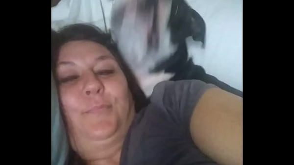 Vidéo De Vérification