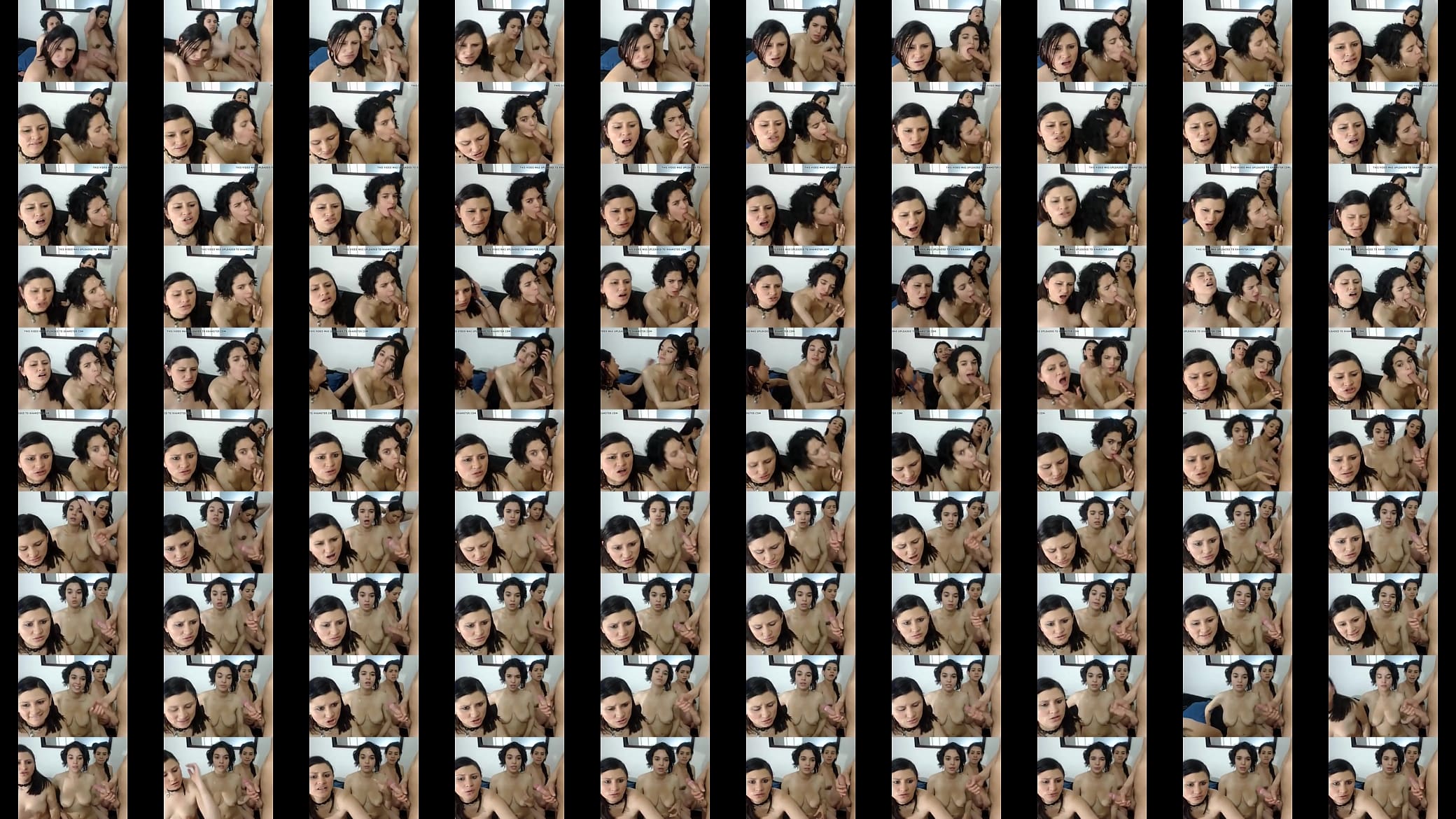 model 预览图