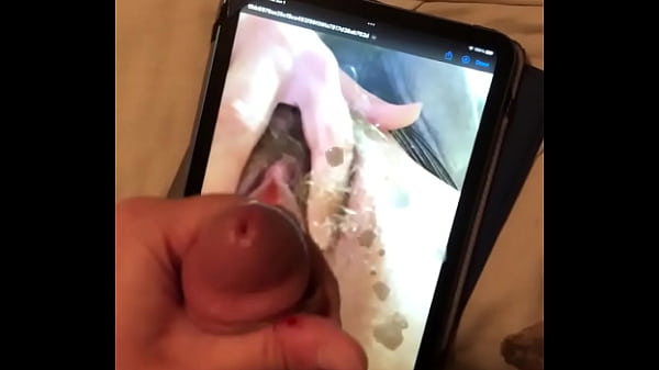 Cum Tribute: Trueangelapi