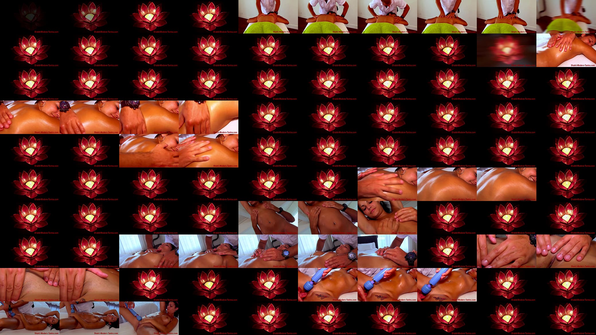 Shakti Modern Tantra Music let the girl squirt 预览图