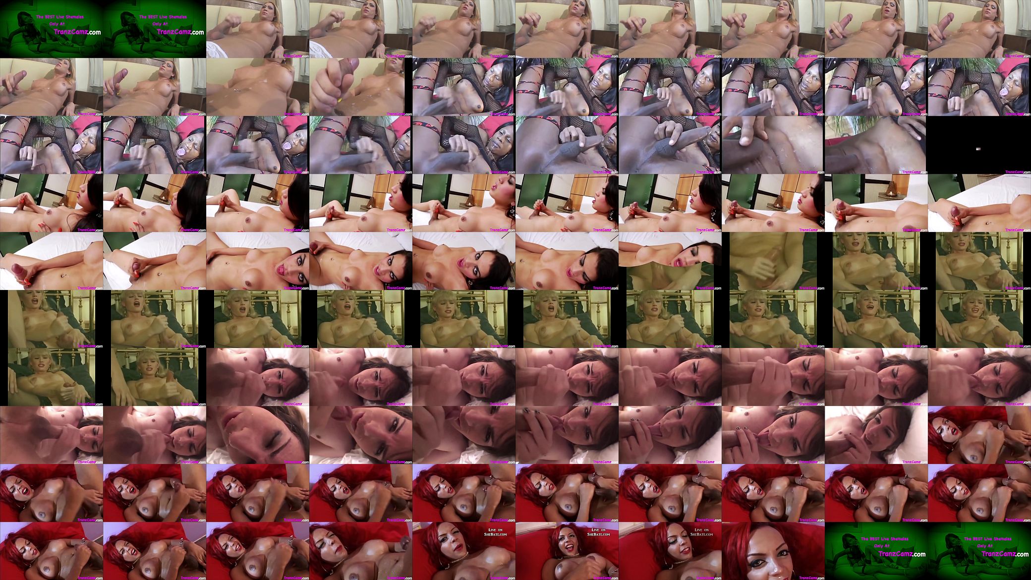Shemale self facial cumshot compilation, including ladyboys 预览图