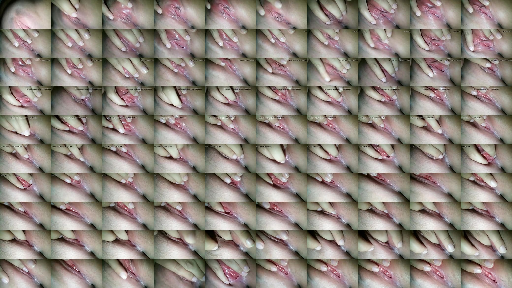 pussy 预览图