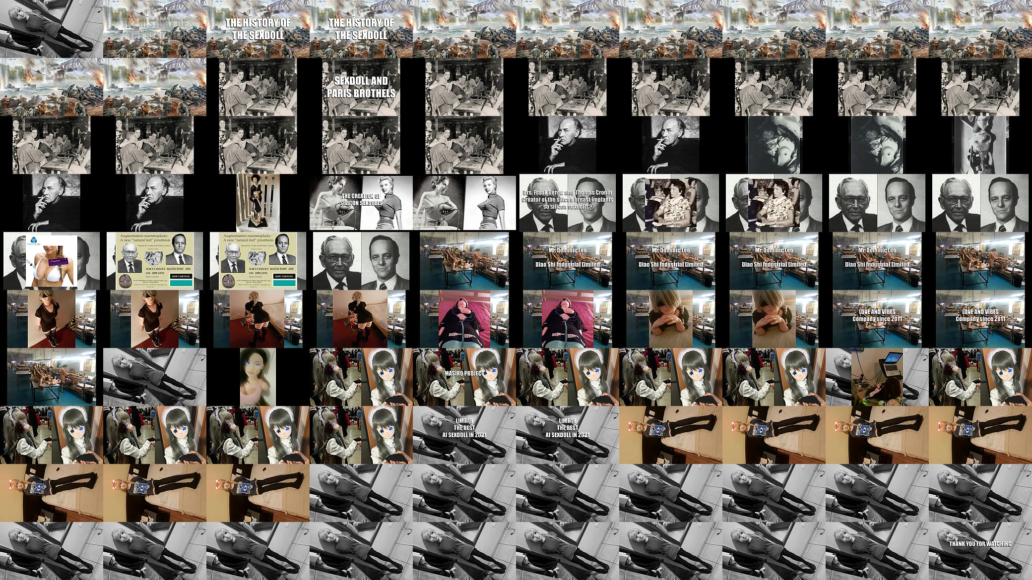 THE HISTORY OF THE SEXDOLL 预览图