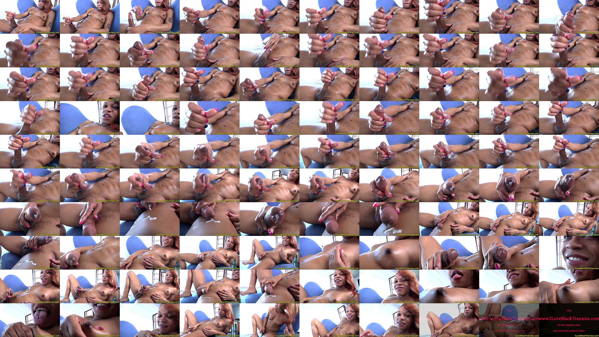 Solo black shemale tugging dick till she cums 预览图